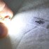 SLP LED світлодіодна лампа в підсвітку салону, номерів, цоколь SV8.5(C5W)(C10W) 41mm. 3 CSP led, 12 Ст. 6500К SLP LED світлодіодна лампа в підсвітку салону, номерів, цоколь SV8.5(C5W)(C10W) 41mm. 3 CSP led, 12 Ст. 6500К