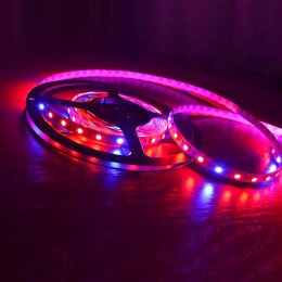 Светодиодная фитолента SMD 5050 60д.м. негерметичная