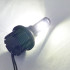 Установочный комплект авто ламп ДХО и Поворот SLP LED с цоколем 1156(PY21W)(BAY15S) 12 Cree led жёлтый/белый Установочный комплект авто ламп ДХО и Поворот SLP LED с цоколем 1156(PY21W)(BAY15S) 12 Cree led жёлтый/белый