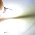 Лід лампа в габарит SLS LED, з обманкою Can шини, цоколь W5W(T10) 24 світлодіода типу 3014 12 Ст. Білий Лід лампа в габарит SLS LED, з обманкою Can шини, цоколь W5W(T10) 24 світлодіода типу 3014 12 Ст. Білий