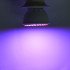 Светодиодная фито лампа для растений 41R19B, Е27 SMD 5Вт. Светодиодная фито лампа для растений 41R19B, Е27 SMD 5Вт.