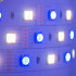 Светодиодная лента Mi-Light SMD5050 RGB+WW+CW (RGB+CCT) LED Strip IP20