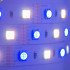 Светодиодная лента Mi-Light SMD5050 RGB+WW+CW (RGB+CCT) LED Strip IP20