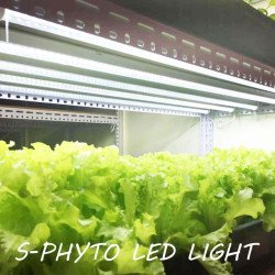 Фитоосвещение S-PHYTO LED LIGHT